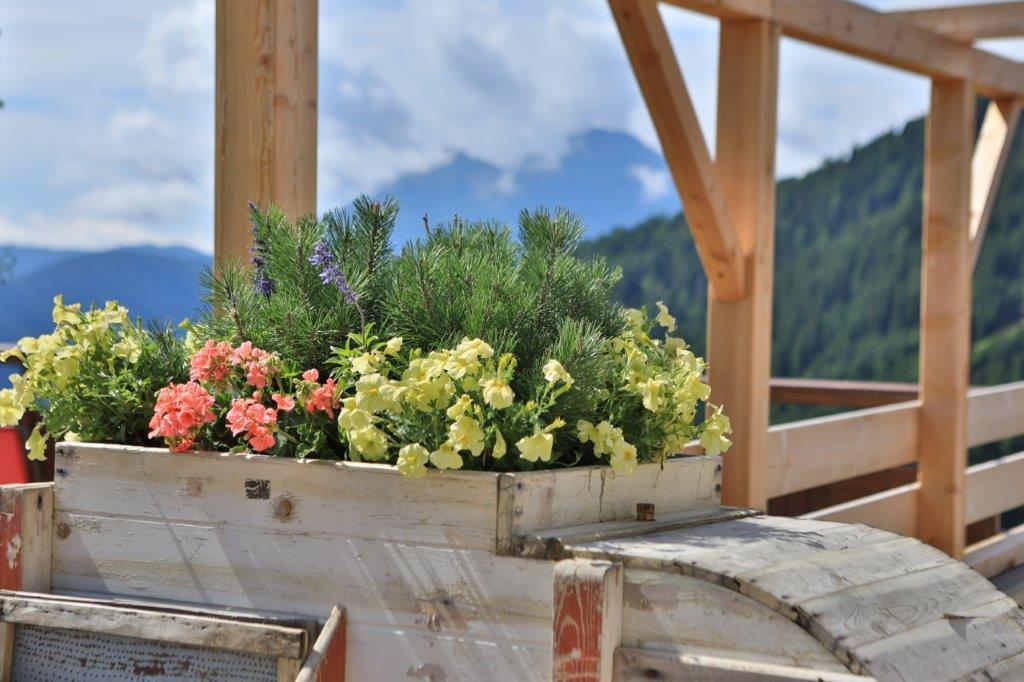 Farm stay Familyparadies Gamplalm Lana